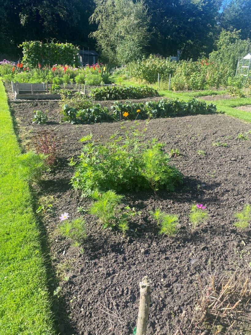 Allotments Worth Parish Council